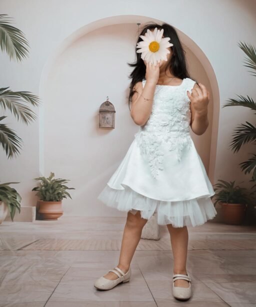 Alternative view of PRCS - 09